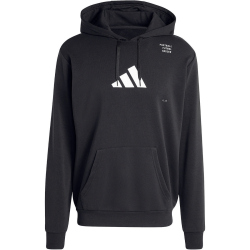 adidas Football Category Graphic Hoodie Herren 095A -...