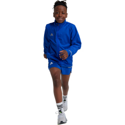 adidas Team Wind.Rdy Windjacke Kinder JD7135 - team royal...
