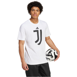 adidas Juventus Turin DNA Graphic T-Shirt 2024/25 Herren 001A - white M
