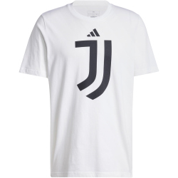 adidas Juventus Turin DNA Graphic T-Shirt 2024/25 Herren...
