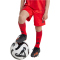 adidas FC Bayern M&uuml;nchen Heim Minikit 2024/25 Kinder 013A - red 92