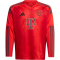 adidas FC Bayern M&uuml;nchen langarm Heimtrikot 2024/25 Kinder 013A - red 128