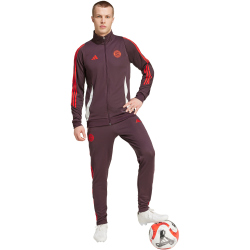 adidas FC Bayern M&uuml;nchen Tiro 24 Trainingsanzug 2024/25 Herren AEKD - shamar/red M