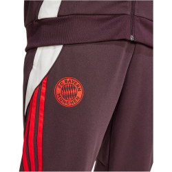 adidas FC Bayern M&uuml;nchen Tiro 24 Trainingsanzug 2024/25 Herren AEKD - shamar/red M
