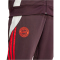 adidas FC Bayern M&uuml;nchen Tiro 24 Trainingsanzug 2024/25 Herren AEKD - shamar/red M