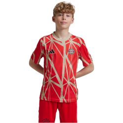 adidas FC Bayern M&uuml;nchen Aufw&auml;rmshirt 2024/25 Kinder 013A - red 128