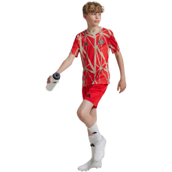 adidas FC Bayern M&uuml;nchen Aufw&auml;rmshirt 2024/25 Kinder 013A - red 128