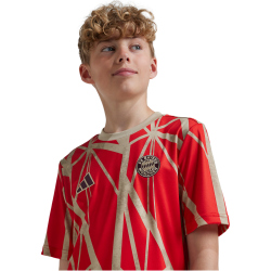adidas FC Bayern M&uuml;nchen Aufw&auml;rmshirt 2024/25 Kinder 013A - red 128