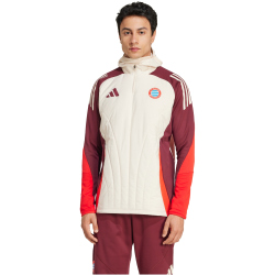 adidas FC Bayern M&uuml;nchen Tiro 24 European Winterized Sweatshirt 2024/25 Herren A9ND - linen/shared M