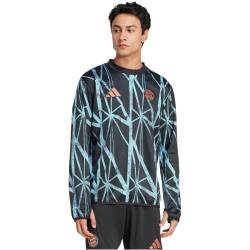 adidas FC Bayern M&uuml;nchen Aufw&auml;rmshirt 2024/25 Herren 095A - black XS