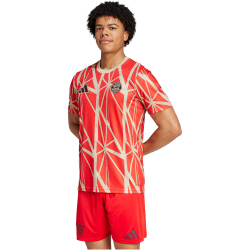 adidas FC Bayern M&uuml;nchen Aufw&auml;rmshirt 2024/25 Herren 013A - red S