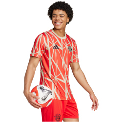 adidas FC Bayern M&uuml;nchen Aufw&auml;rmshirt 2024/25 Herren 013A - red S