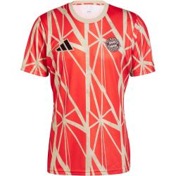 adidas FC Bayern M&uuml;nchen Aufw&auml;rmshirt 2024/25...