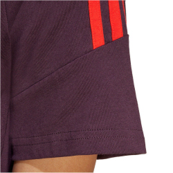 adidas FC Bayern M&uuml;nchen Tiro 24 T-Shirt 2024/25 Damen AEKD - shamar/red XS