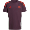 adidas FC Bayern M&uuml;nchen Tiro 24 T-Shirt 2024/25 Kinder AEKD - shamar/red 140