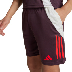 adidas FC Bayern M&uuml;nchen Tiro 24 Trainingsshorts 2024/25 Kinder AEKD - shamar/red 116