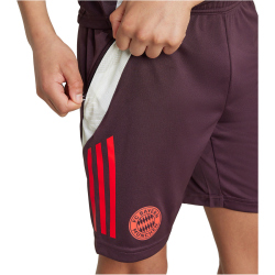 adidas FC Bayern M&uuml;nchen Tiro 24 Trainingsshorts 2024/25 Kinder AEKD - shamar/red 116