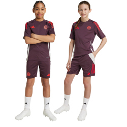 adidas FC Bayern M&uuml;nchen Tiro 24 Trainingsshorts 2024/25 Kinder AEKD - shamar/red 116