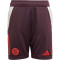 adidas FC Bayern M&uuml;nchen Tiro 24 Trainingsshorts 2024/25 Kinder AEKD - shamar/red 116