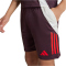 adidas FC Bayern M&uuml;nchen Tiro 24 Trainingsshorts 2024/25 Kinder AEKD - shamar/red 116