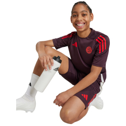 adidas FC Bayern M&uuml;nchen Tiro 24 Trainingstrikot 2024/25 Kinder AEKD - shamar/red 128