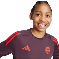 adidas FC Bayern M&uuml;nchen Tiro 24 Trainingstrikot 2024/25 Kinder AEKD - shamar/red 128