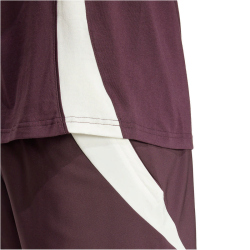 adidas FC Bayern M&uuml;nchen Tiro 24 T-Shirt 2024/25 Herren AEKD - shamar/red S