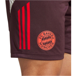 adidas FC Bayern M&uuml;nchen Tiro 24 Trainingsshorts 2024/25 Herren AEKD - shamar/red M
