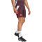 adidas FC Bayern M&uuml;nchen Tiro 24 Trainingsshorts 2024/25 Herren AEKD - shamar/red M