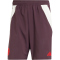 adidas FC Bayern M&uuml;nchen Tiro 24 Downtime-Shorts 2024/25 Herren AEKD - shamar/red S