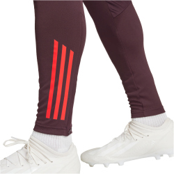 adidas FC Bayern M&uuml;nchen Tiro 24 Trainingshose 2024/25 Herren AEKD - shamar/red XS