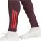 adidas FC Bayern M&uuml;nchen Tiro 24 Trainingshose 2024/25 Herren AEKD - shamar/red XS