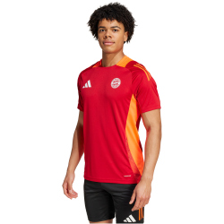 adidas FC Bayern M&uuml;nchen Tiro 24 Trainingstrikot 2024/25 Herren AEPU - tepore XS