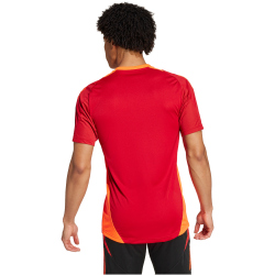 adidas FC Bayern M&uuml;nchen Tiro 24 Trainingstrikot 2024/25 Herren AEPU - tepore XS