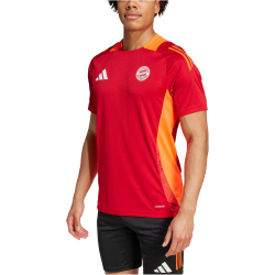 adidas FC Bayern M&uuml;nchen Tiro 24 Trainingstrikot 2024/25 Herren AEPU - tepore S