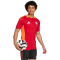 adidas FC Bayern M&uuml;nchen Tiro 24 Trainingstrikot 2024/25 Herren AEPU - tepore S