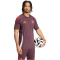 adidas FC Bayern M&uuml;nchen Tiro 24 Trainingstrikot 2024/25 Herren AEKD - shamar/red S