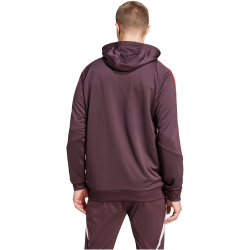 adidas FC Bayern M&uuml;nchen Tiro 24 Hoodie 2024/25 Herren AEKD - shamar/red S