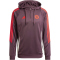 adidas FC Bayern M&uuml;nchen Tiro 24 Hoodie 2024/25 Herren AEKD - shamar/red S