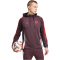 adidas FC Bayern M&uuml;nchen Tiro 24 Hoodie 2024/25 Herren AEKD - shamar/red S