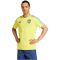 adidas SVFF Schweden DNA T-Shirt 2024/25 Herren 002A - byello XS