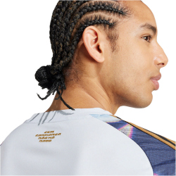 adidas Tiro Pride Trikot Herren ADWA - halblu/purbur/pinspa S