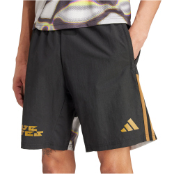adidas Pride Downtime-Shorts Herren 095A - black XS