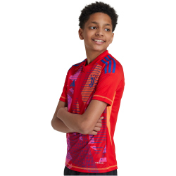 adidas Juventus Turin Torwarttrikot 2024/25 Kinder 013A - red/royblu 128