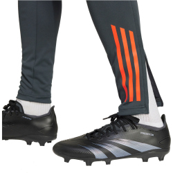 adidas SL Benfica Lissabon Tiro 24 Competition Trainingshose 2024/25 Herren A2AK - ntgrey/sesore XS