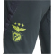 adidas SL Benfica Lissabon Tiro 24 Competition Trainingshose 2024/25 Herren A2AK - ntgrey/sesore XS