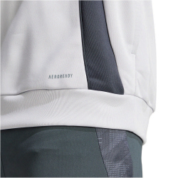 adidas SL Benfica Lissabon Tiro 24 Trainings-Hoodie 2024/25 Herren A5J3 - lgsogr/sesore XS