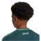 adidas FAF Algerien Auswärtstrikot 2024 Kinder IT2736 - mineral green 128