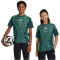 adidas FAF Algerien Auswärtstrikot 2024 Kinder IT2736 - mineral green 128