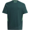 adidas FAF Algerien Auswärtstrikot 2024 Kinder IT2736 - mineral green 128